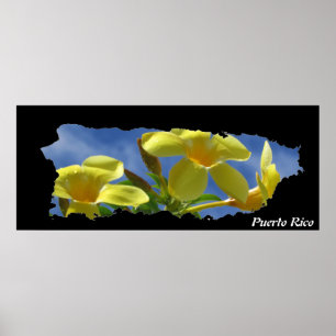 Puerto Rico Gula blommor, Karta Poster