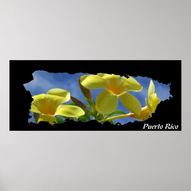 Puerto Rico Gula blommor, Karta Poster (Framsidan)