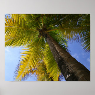 Puerto Rico Handflatan av RZB Poster