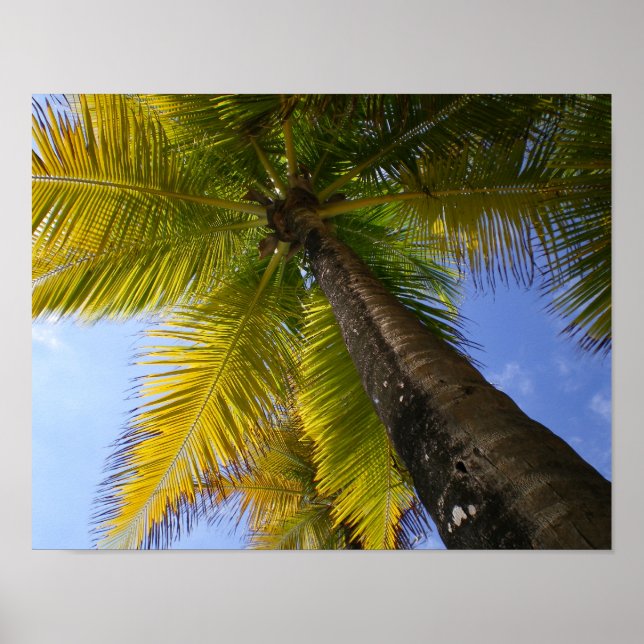 Puerto Rico Handflatan av RZB Poster (Framsidan)