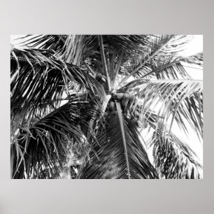 Puerto Rico Handflatan POSTER
