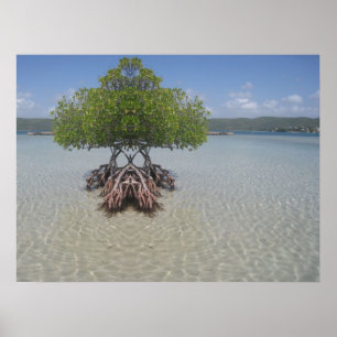 Puerto Rico illusionfoto Poster