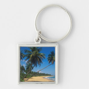 Puerto Rico, Isla Verde, handflatan träd. Fyrkantig Silverfärgad Nyckelring