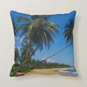 Puerto Rico, Isla Verde, handflatan träd Kudde