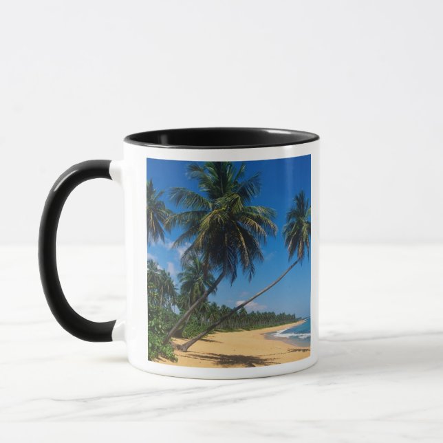 Puerto Rico, Isla Verde, palmer. Mugg (Vänster)