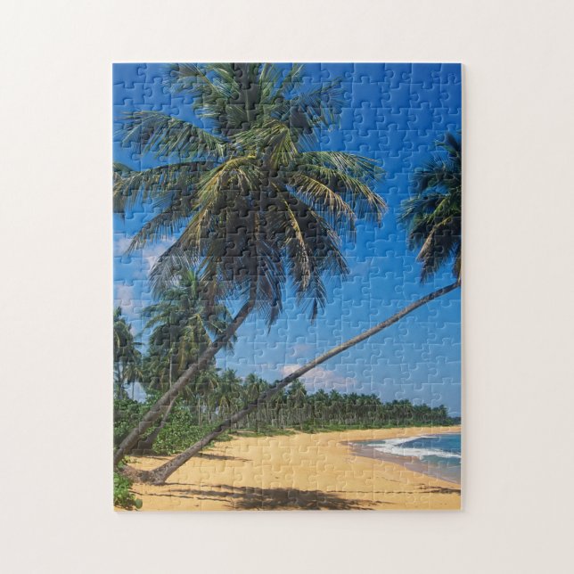 Puerto Rico, Isla Verde, palmer Pussel (Vertikal)