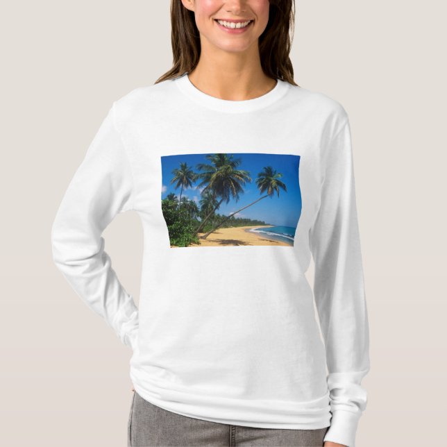 Puerto Rico, Isla Verde, palmer. Tee Shirt (Framsida)