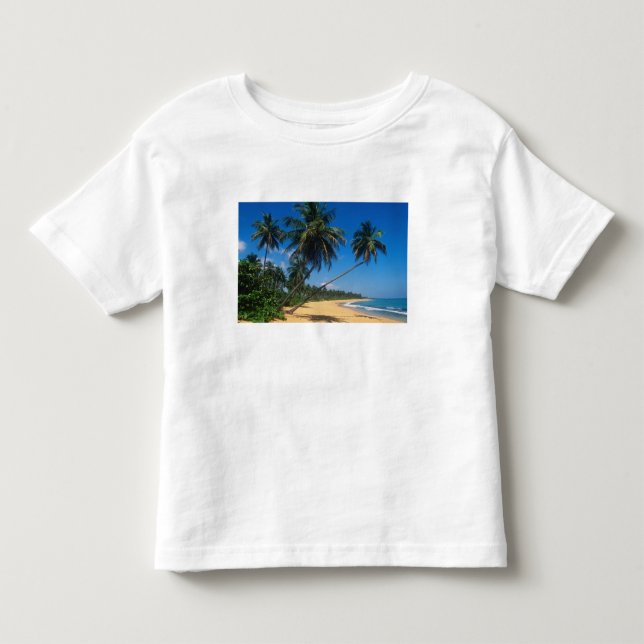 Puerto Rico, Isla Verde, palmer. Tröja (Framsida)