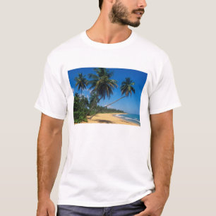 Puerto Rico, Isla Verde, palmer. Tröja