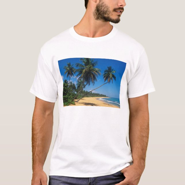 Puerto Rico, Isla Verde, palmer. Tröja (Framsida)