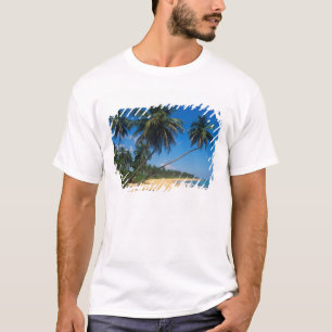 Puerto Rico, Isla Verde, palmer. Tröja