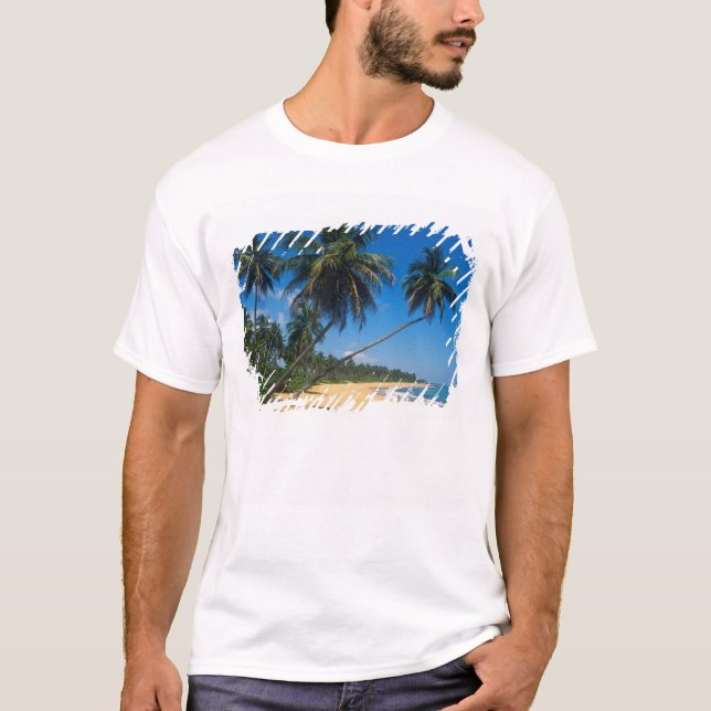 Puerto Rico, Isla Verde, palmer. Tröja (Framsida)