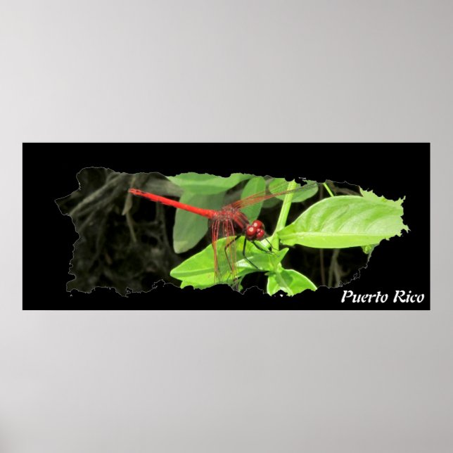 Puerto Rico Island Karta Dragonfly Poster (Framsidan)