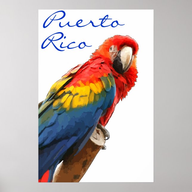 Puerto Rico Scarlet Macaw Poster (Framsidan)
