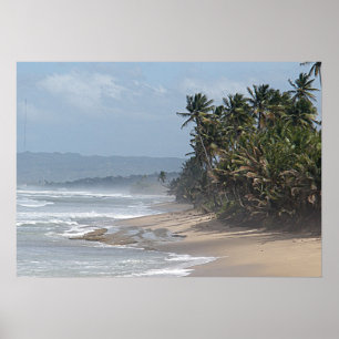 Puerto Rico strand Poster