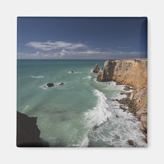 Puerto Rico, västkusten, Cabo Rojo, kustlinje 2 Magnet (Framsidan)