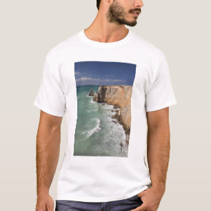 Puerto Rico, västkusten, Cabo Rojo, kustlinje T-shirt
