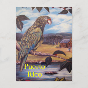 Puerto Rico vykort