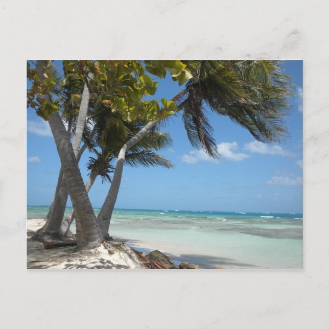 Puerto Rico Vykort (Framsida)