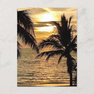 Puerto Vallarta Golden Summer Sunset Vykort