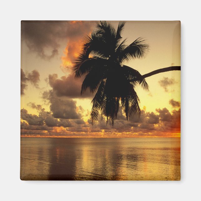 Puerto Vallarta Magnet (Framsidan)