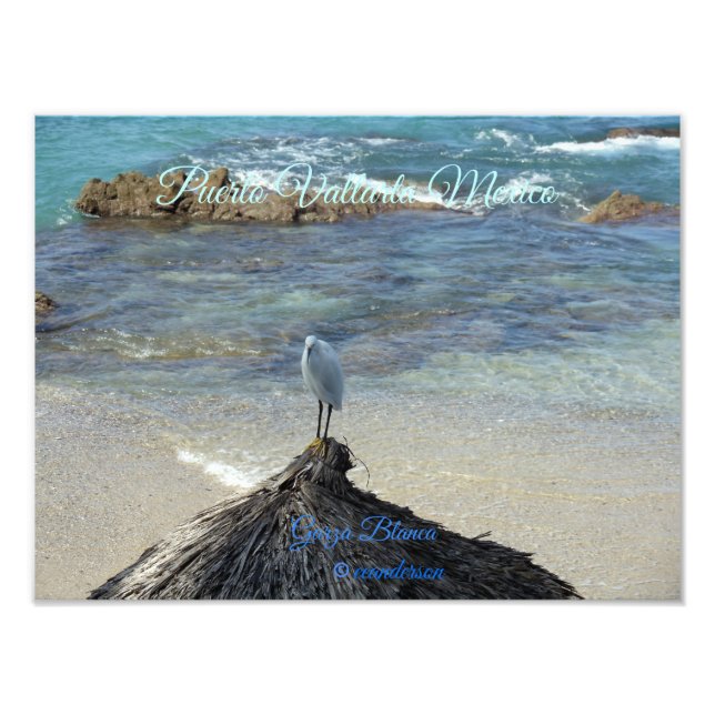 Puerto Vallarta Mexico-Garza Blanca Fototryck (Framsidan)