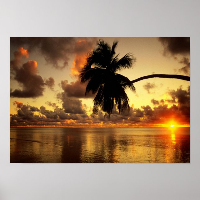 Puerto Vallarta Poster (Framsidan)