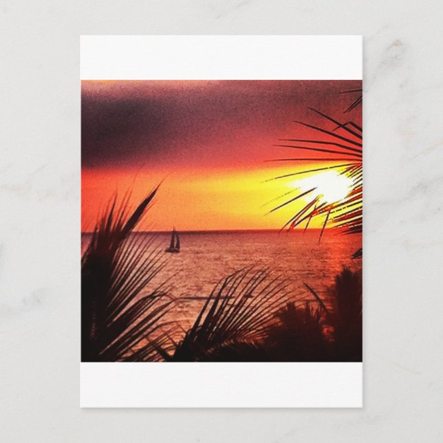 Puerto Vallarta solnedgång Vykort (Framsida)