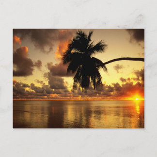 Puerto Vallarta Vykort