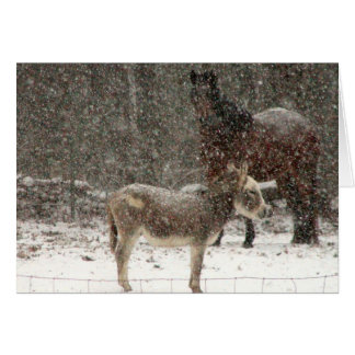 Puff & vridning hälsningskort