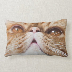 puFFen kudder Lumbarkudde