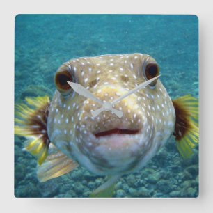 ***PUFFER FISH** ROLIGT CLOCK FYRKANTIG KLOCKA