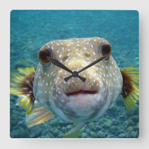 ***PUFFER FISK*** ROLIGT KLOCK FYRKANTIG KLOCKA