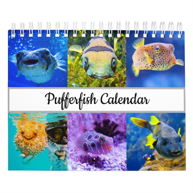 Pufferfisk kalender (Omslag)