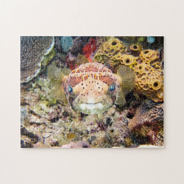 Pufferfisk Pussel (Horisontell)