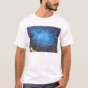 Pufferfisk Tee