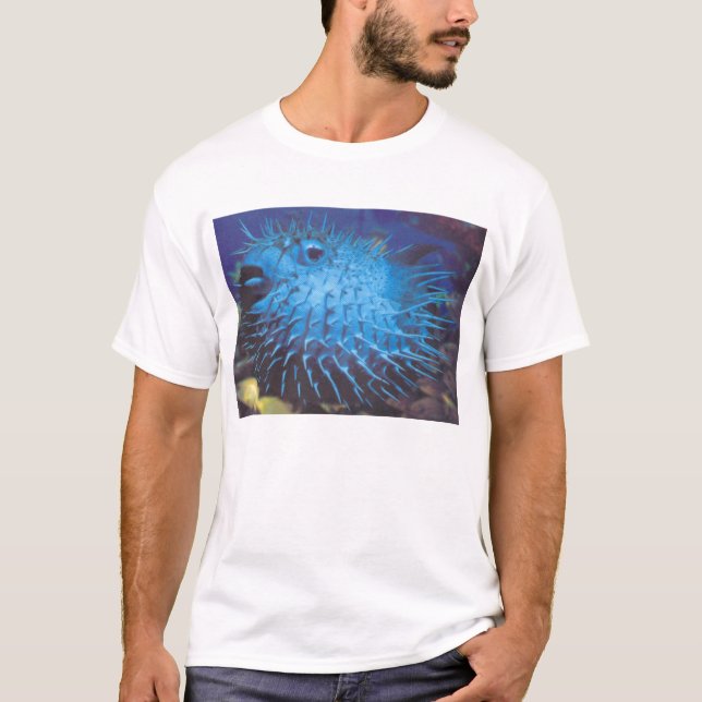 Pufferfisk Tee (Framsida)