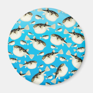 pufferfiskblått magnet
