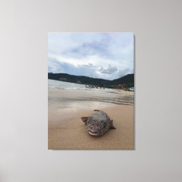 Puffers fisk på stranden vid Phuket fotografering Canvastryck
