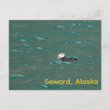 Pufffisk som äter fisk