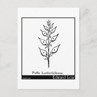 Puffia Leatherbellowsa. Vykort