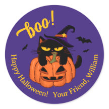 Puffig svart katt i häxhatt Halloween boo