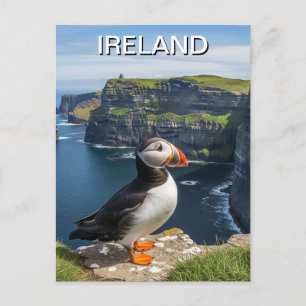 Puffin at Cliffs of Moher Ireland Travel Vykort