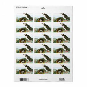 Puffin av John James Audubon Adressetikett