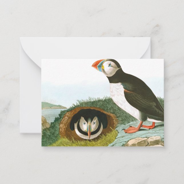 Puffin av John James Audubon Anteckningskort (Framsida)