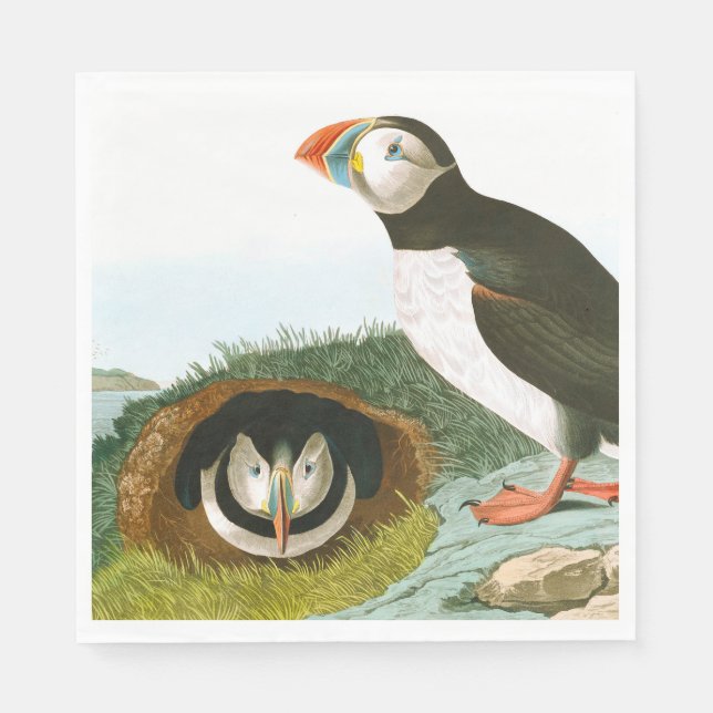 Puffin av John James Audubon Pappersservett (Framsidan)