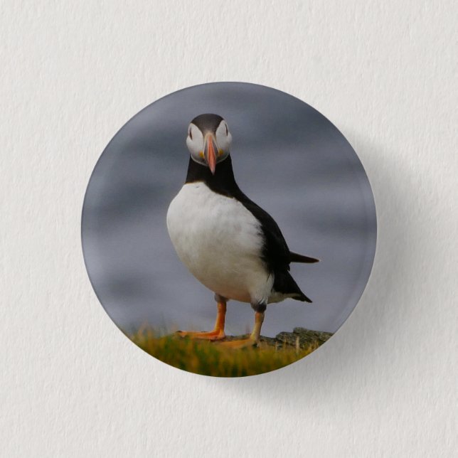 Puffin Badge Knapp (Framsida)