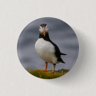 Puffin Badge Knapp