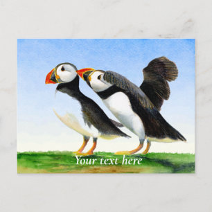 Puffin Bird Watercolor Painting Vykort