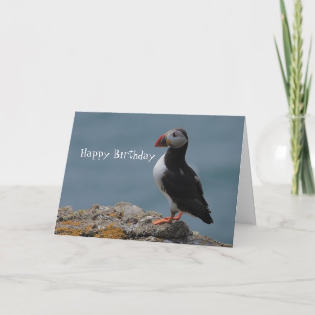 Puffin Birthday Greetings Kort (Framsida)